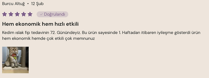 Fip tedavisi